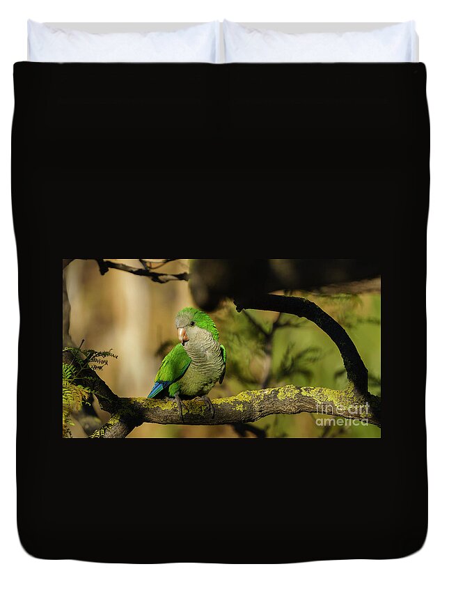 Colorful Duvet Cover featuring the photograph Monk Parakeet Perched on a Tree #1 by Pablo Avanzini