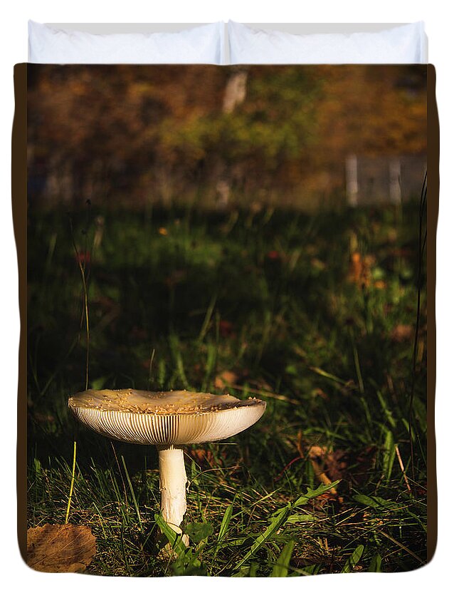 Mushroom Duvet Cover featuring the photograph Mushroom #1 by Cindi Ressler
