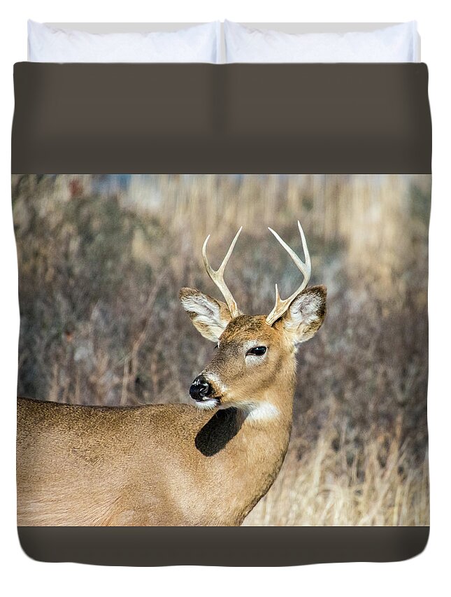 Wildlife Duvet Cover featuring the photograph My Good Side #1 by Cathy Kovarik