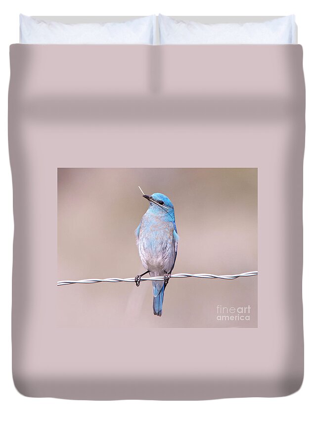 Bluebird Duvet Cover featuring the photograph Nest Builder #1 by Michael Dawson