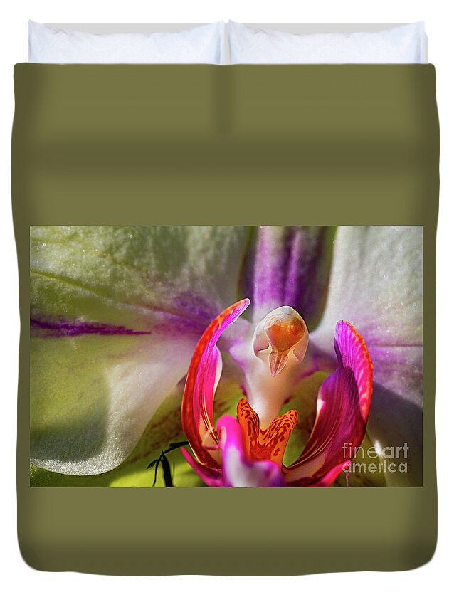 Orchids In Spring Duvet Cover featuring the painting Orchids In Spring, Close Up On Blurred Background by European School
