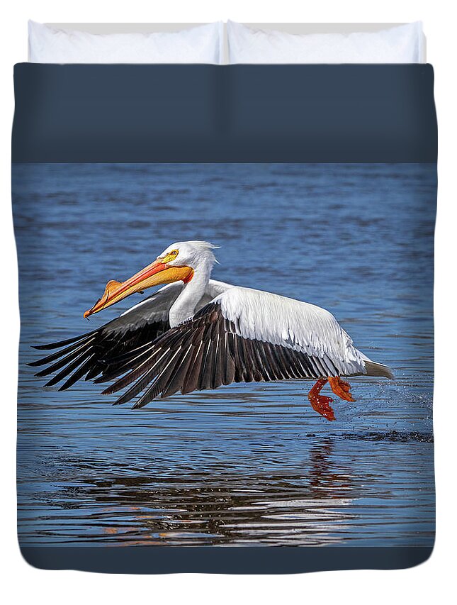 Bird Duvet Cover featuring the photograph Pelican Taking Off #1 by Ira Marcus