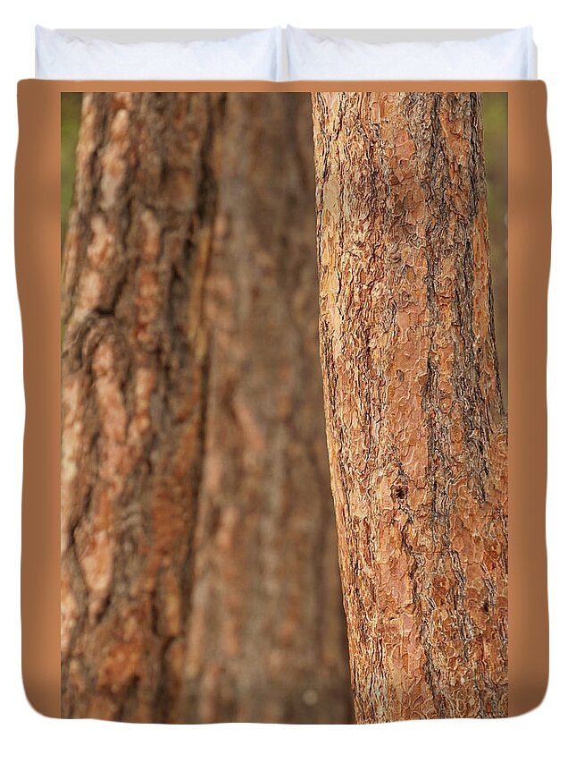 Bend Duvet Cover featuring the photograph Ponderosa pine bark detail #1 by Steve Estvanik
