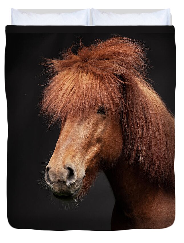 Horse Duvet Cover featuring the photograph Portrait Of Horse #1 by Arctic-images