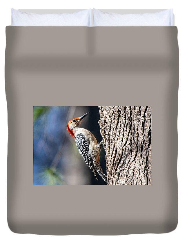 Red Bellied Woodpecker Duvet Cover featuring the photograph Red-Bellied Woodpecker #1 by Mary Ann Artz