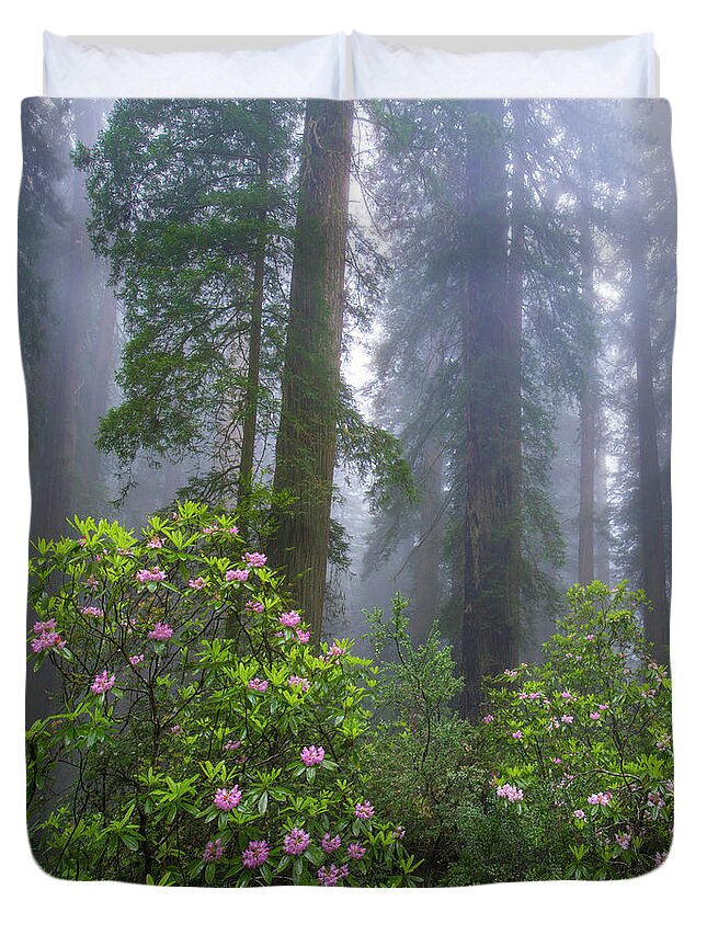 00571630 Duvet Cover featuring the photograph Rhododendron And Coast Redwoods In Fog, Redwood National Park, California #1 by Tim Fitzharris