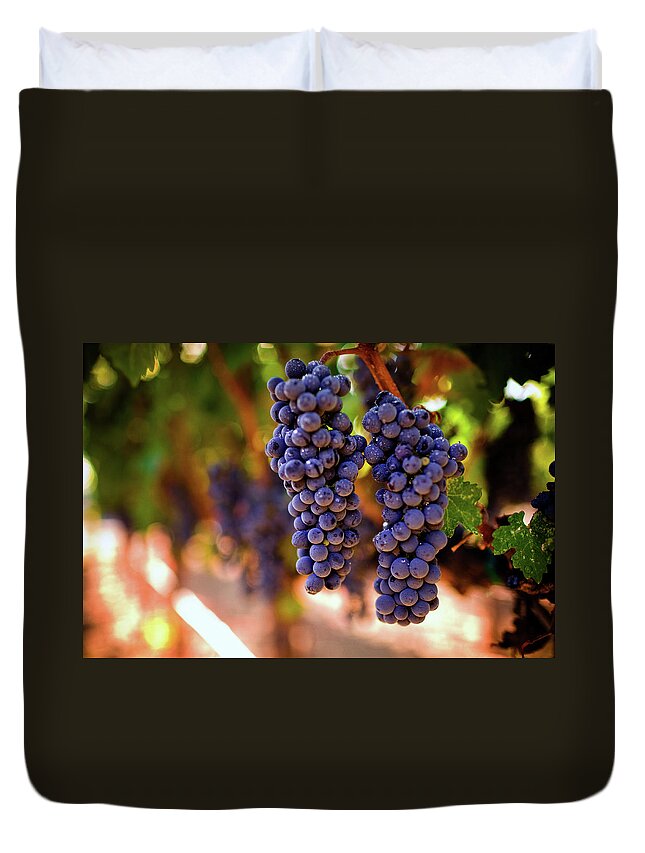 Saturated Color Duvet Cover featuring the photograph Ripe Grapes #1 by Thepalmer