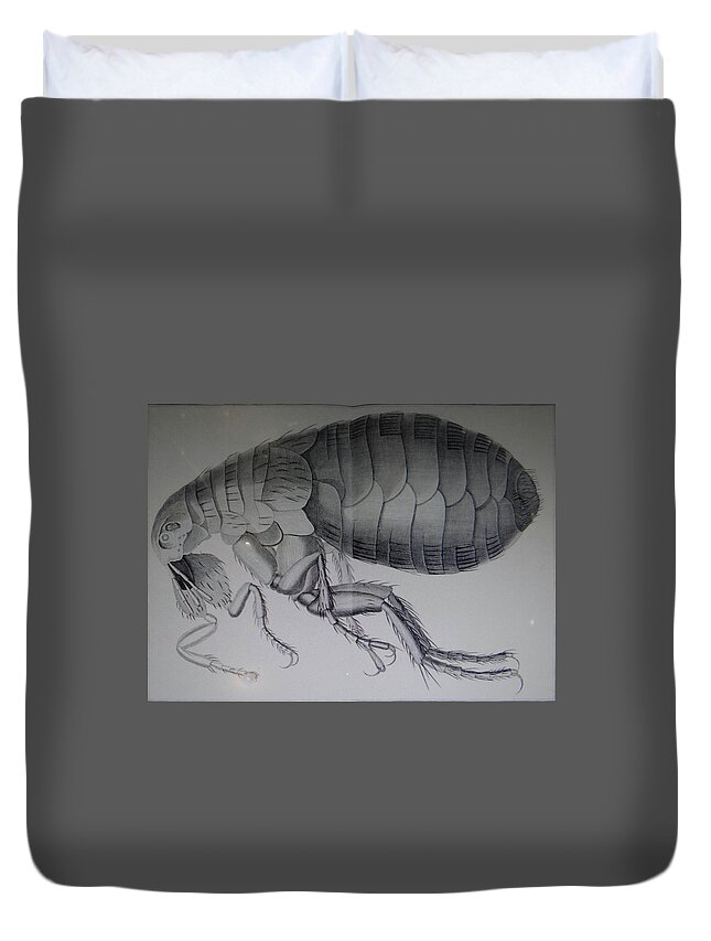 18th Duvet Cover featuring the photograph Scientific drawing of a flea #1 by Steve Estvanik