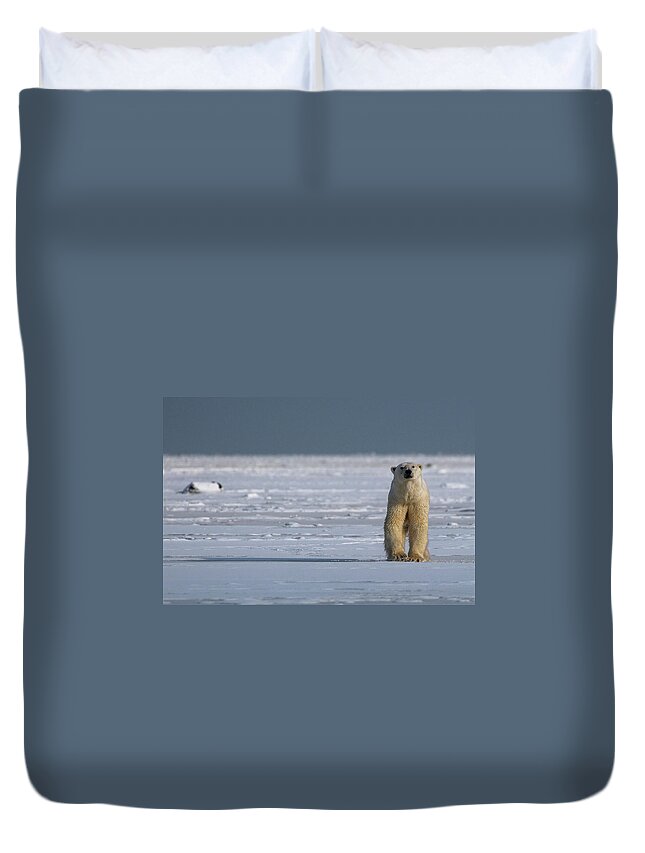 Bear Duvet Cover featuring the photograph Scrutiny #2 by Mark Hunter