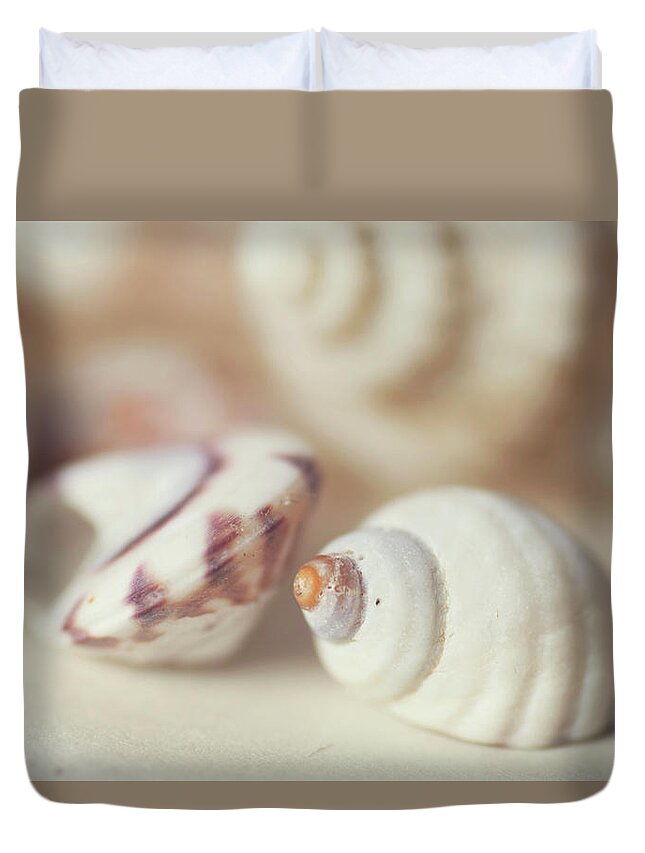 Five Objects Duvet Cover featuring the photograph Shells #1 by Jill Ferry Photography