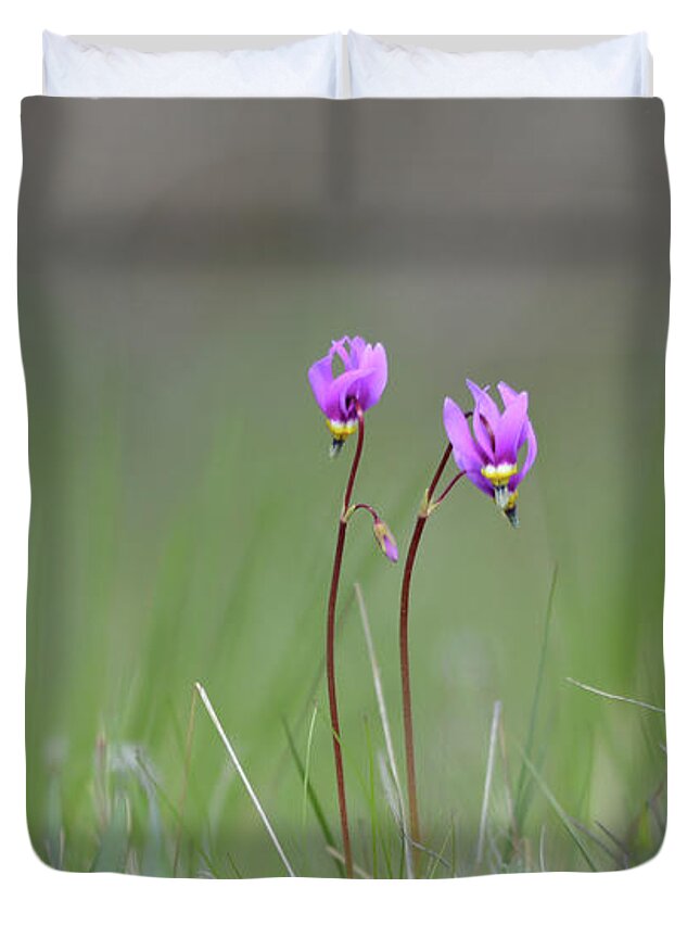 Wildflowers Duvet Cover featuring the photograph Shooting Stars #1 by Whispering Peaks Photography