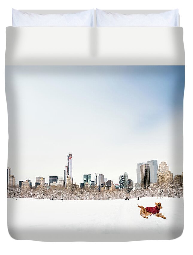 Pets Duvet Cover featuring the photograph Snowy Central Park New York #1 by Ferrantraite