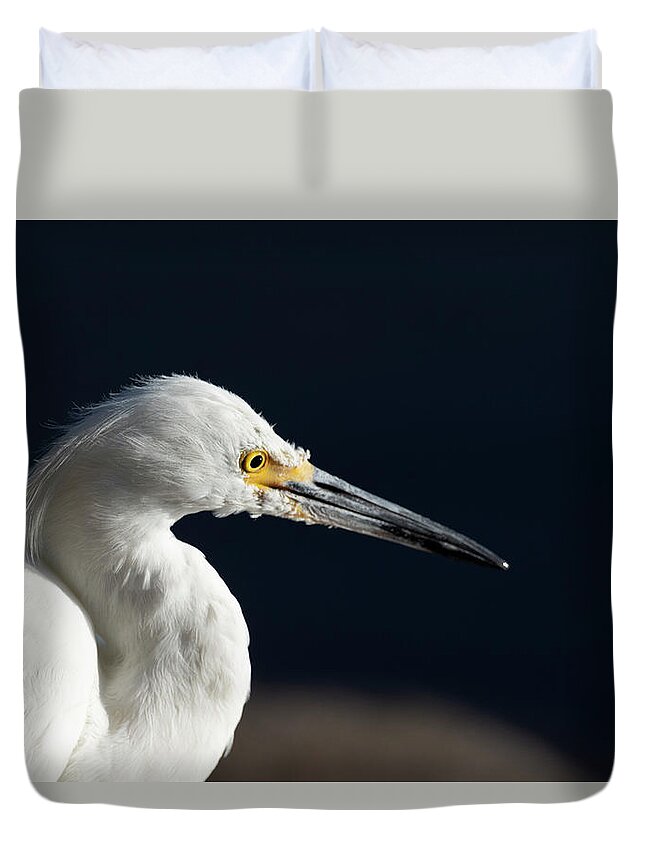 Snowy White Egret Duvet Cover featuring the photograph Snowy White Egret 7 #1 by Rick Mosher