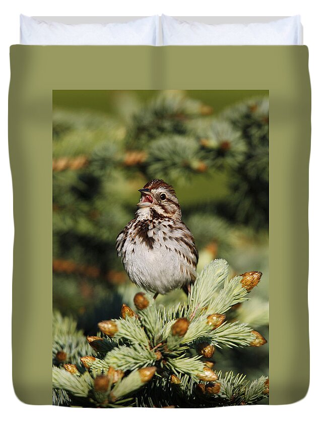 Animal Duvet Cover featuring the photograph Song Sparrow #1 by James Zipp