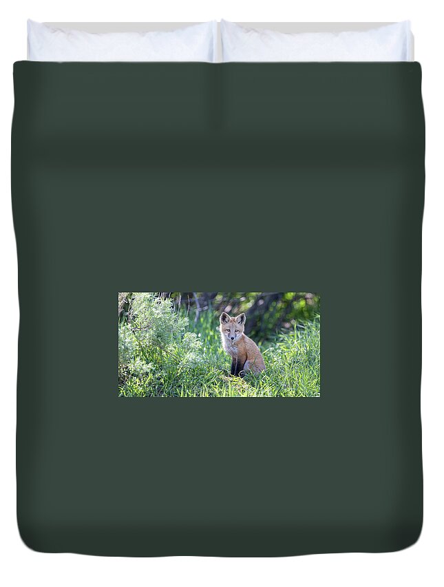 Fox Duvet Cover featuring the photograph Soul Center #1 by Kevin Dietrich