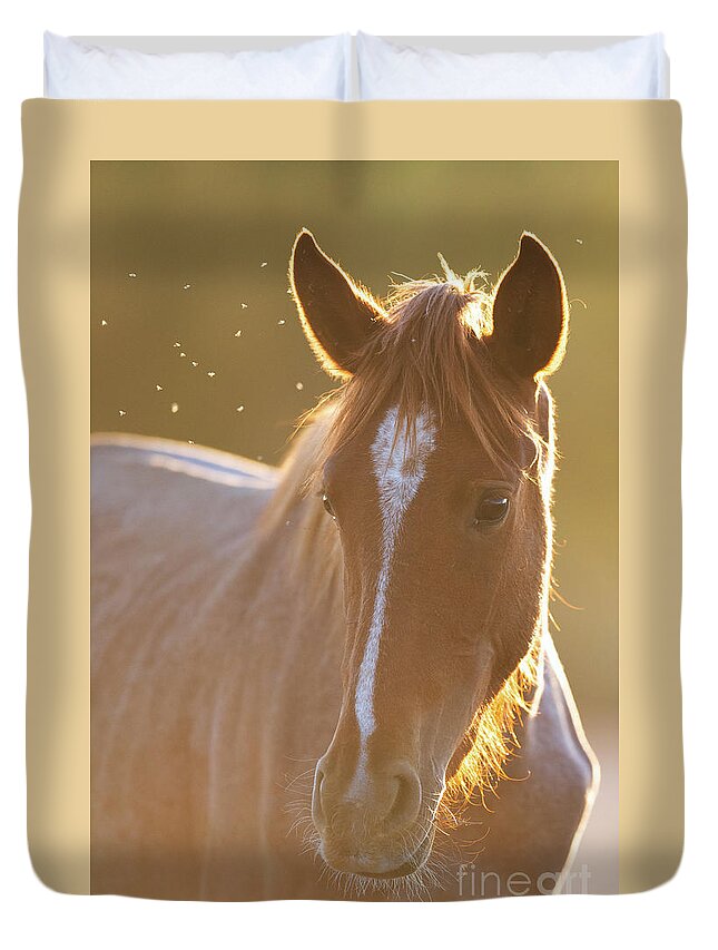 Salt River Wild Horse Duvet Cover featuring the photograph Sunrise #2 by Shannon Hastings