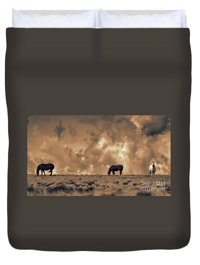 Mustangs Duvet Cover featuring the photograph Wild and Free by Jim Garrison