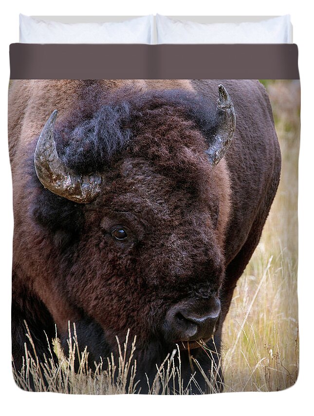 Bison Duvet Cover featuring the photograph Yellowstone Bison #1 by Catherine Avilez