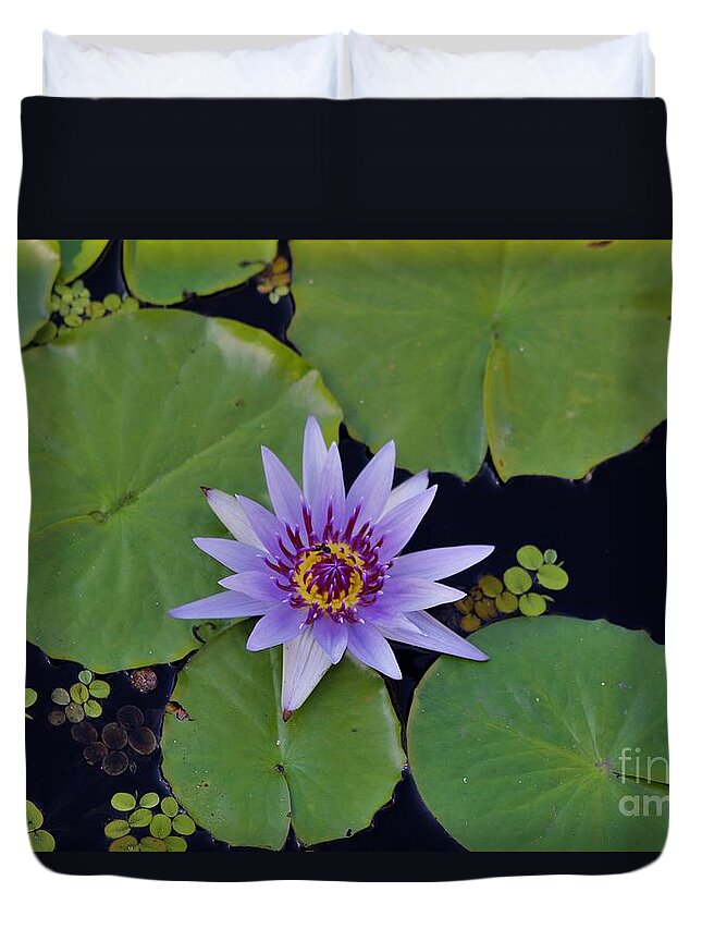 Naples Duvet Cover featuring the photograph Botanical Gardens by Donn Ingemie