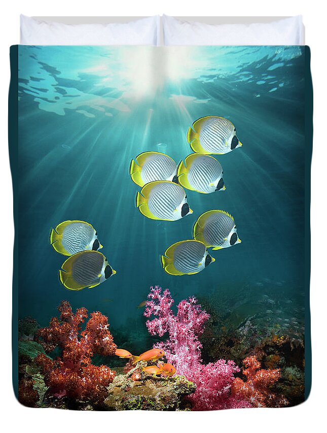 Underwater Duvet Cover featuring the photograph Panda Butterflyfish #10 by Georgette Douwma