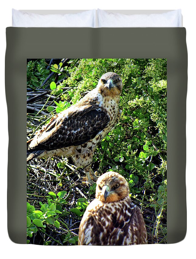 Galapagos Islands Ecuador Duvet Cover featuring the photograph Galapagos Islands Ecuador #103 by Paul James Bannerman