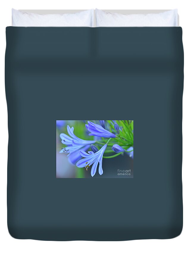 Agapanthus Duvet Cover featuring the photograph Agapanthus #17 by Marc Bittan