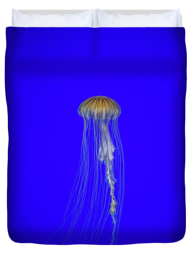 #jellyfish #art #aquarium #sea #ocean #nature #fish #water #photography #sealife #underwater #marinelife #japan #japanese #blue #yellow #gold Duvet Cover featuring the photograph Japanese Jellyfish #17 by Kenny Thomas
