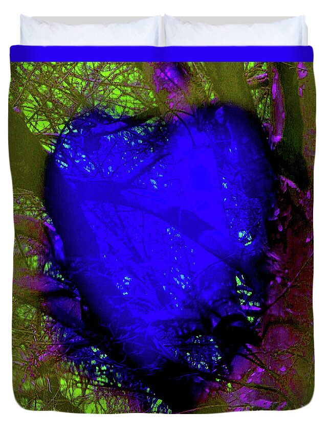 Walter Paul Bebirian Duvet Cover featuring the digital art 2-16-2009abcdefg by Walter Paul Bebirian