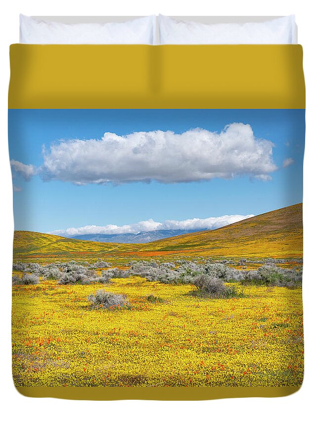 Jeff Foott Duvet Cover featuring the photograph Antelope Valley Super Bloom #2 by Jeff Foott