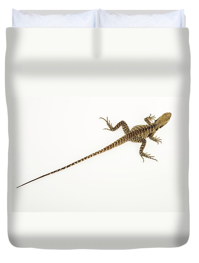 Long Duvet Cover featuring the photograph Australian Water Dragon Physignathus #2 by Martin Harvey