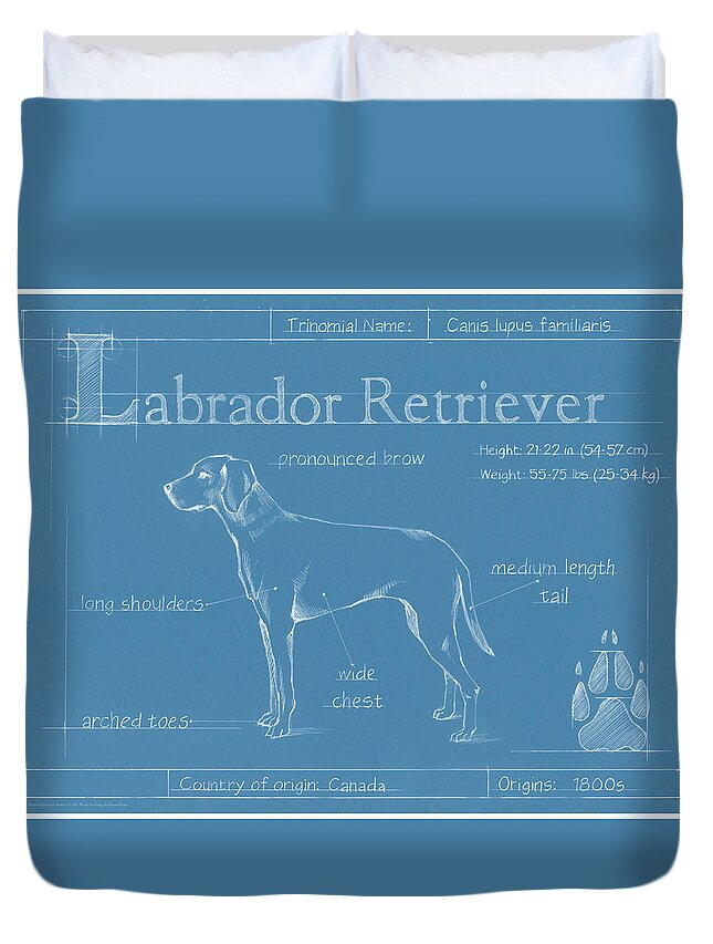 Dogs Duvet Cover featuring the painting Blueprint Labrador Retriever by Ethan Harper
