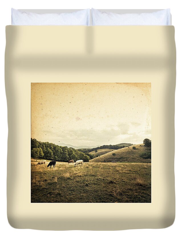 Grass Duvet Cover featuring the photograph Cattle Grazing In A Small Valley #2 by Thepalmer