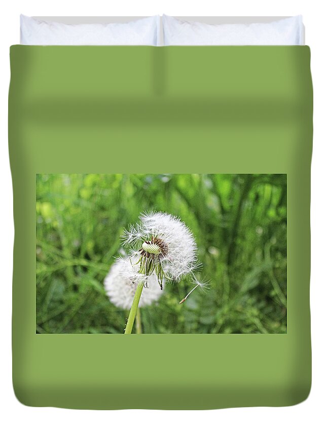Dandelion Head Duvet Cover featuring the photograph Dandelion head close up by Martin Smith