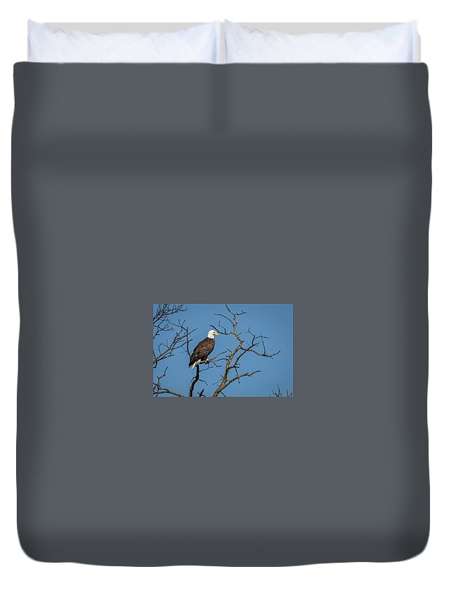 Eagle Duvet Cover featuring the photograph Eagle #3 by David Wagenblatt
