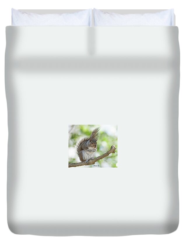 Eastern Grey Squirrel Duvet Cover featuring the photograph Eastern Grey Squirrel #2 by Diane Giurco
