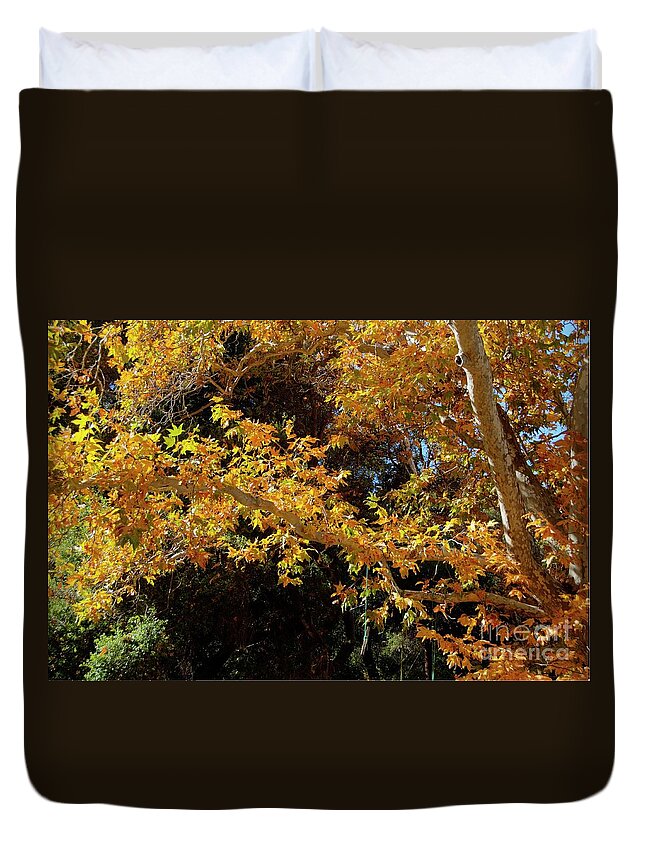 Fall Duvet Cover featuring the photograph Fall #2 by Marc Bittan