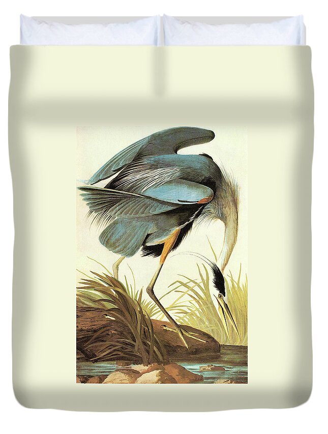 Ornithologist Duvet Cover featuring the painting Great Blue Heron #2 by John James Audubon