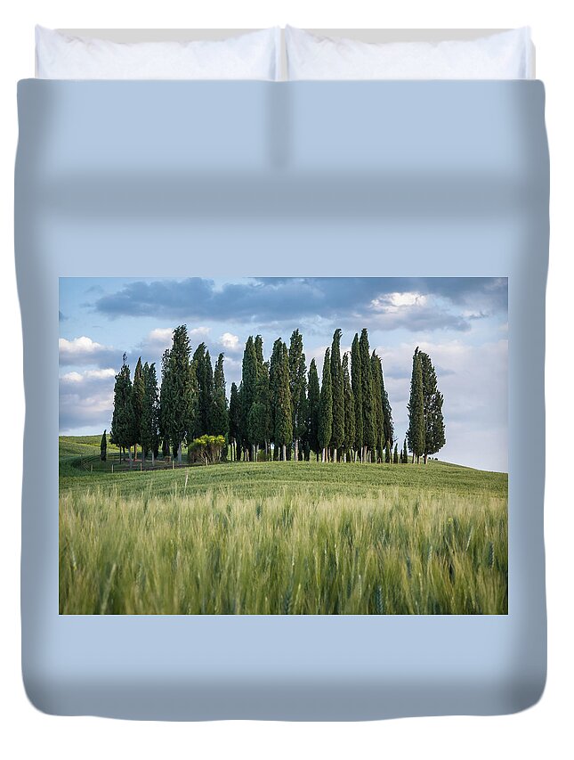 Agriculture Duvet Cover featuring the photograph Group of cypress trees at dusk In Tuscan landscape #2 by Tosca Weijers