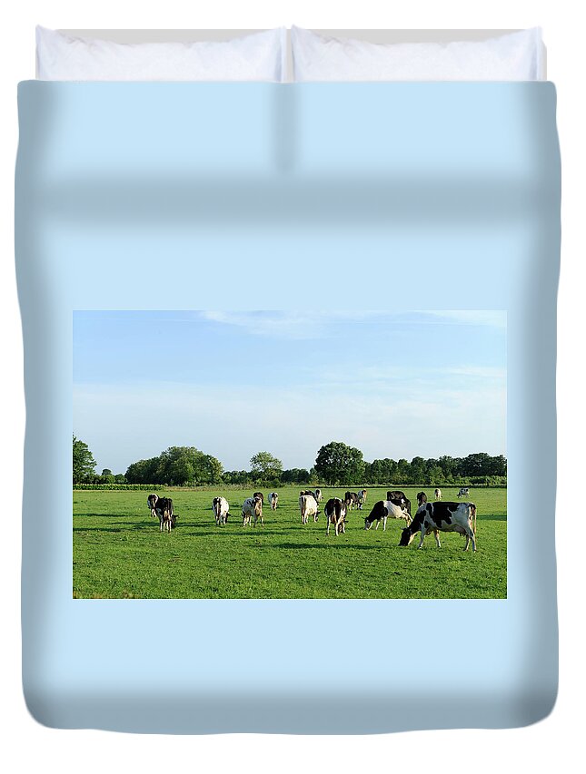 Scenics Duvet Cover featuring the photograph Group Of Holstein Cows In A Meadow #2 by Vliet