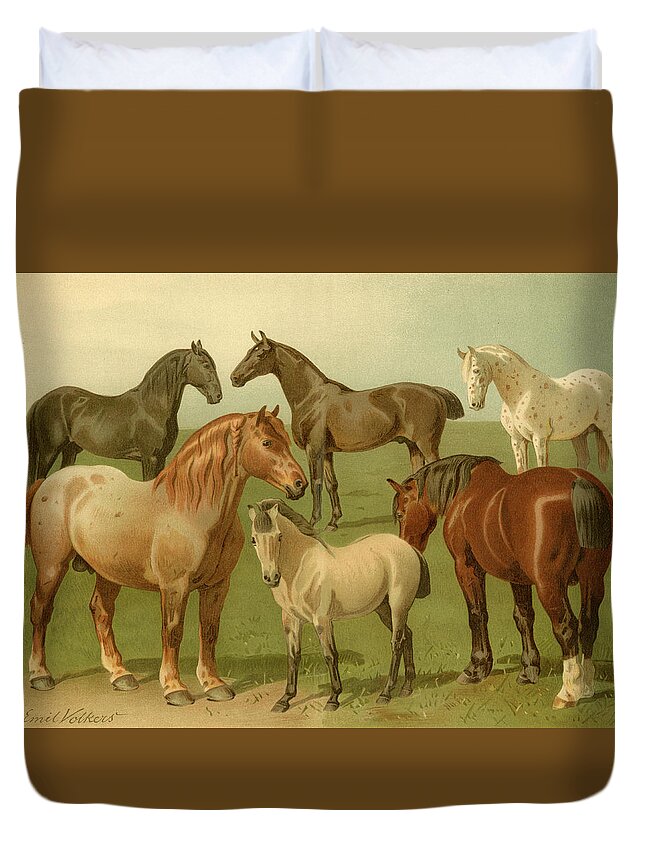 Horses Duvet Cover featuring the painting Horse Breeds II by Emil Volkers