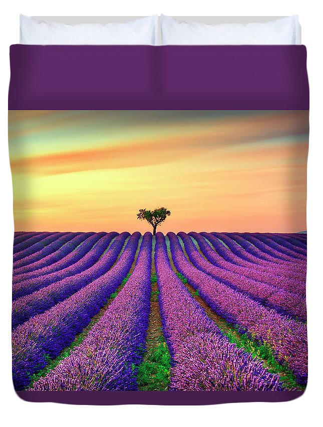 Lavender Duvet Cover featuring the photograph Lavender Flowers and Lonely Tree in Provence by Stefano Orazzini