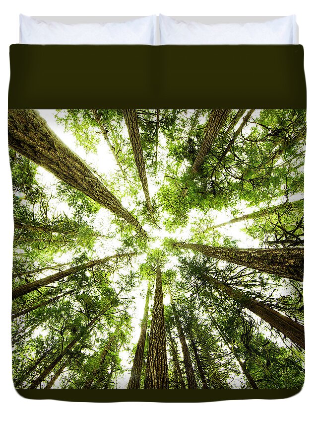 Treetop Duvet Cover featuring the photograph Lush Green Rain Forest #2 by Jordan Siemens