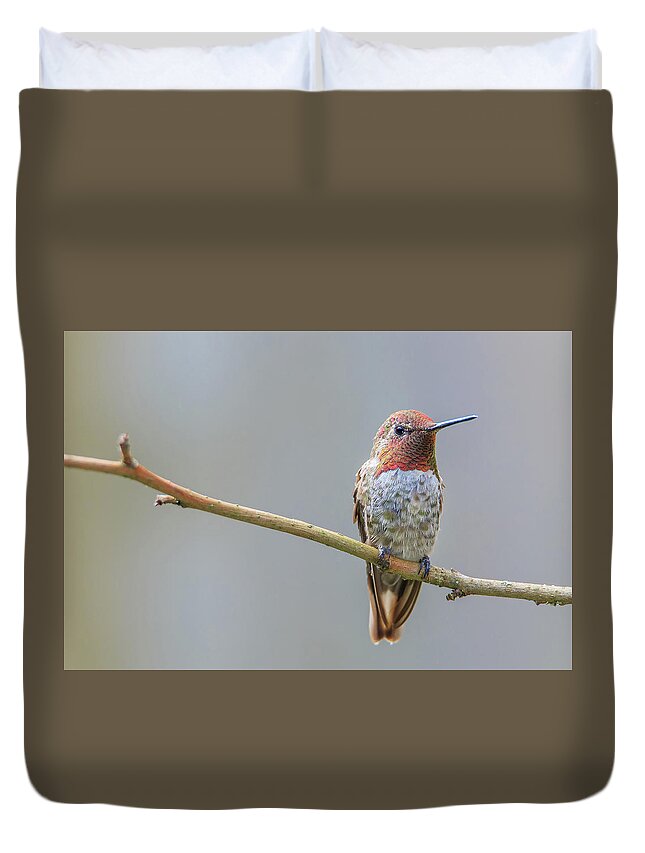 Animal Duvet Cover featuring the photograph Male Anna's Hummingbird by Briand Sanderson