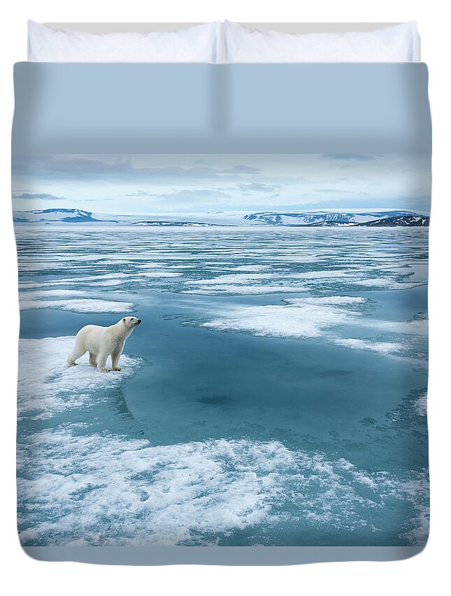Melting Duvet Cover featuring the photograph Polar Bear, Nordaustlandet, Svalbard #2 by Paul Souders