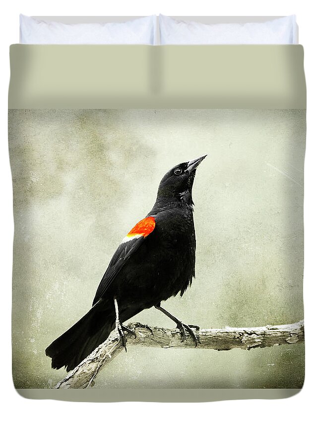 Bird Duvet Cover featuring the photograph Vintage Blackbird by Christina Rollo
