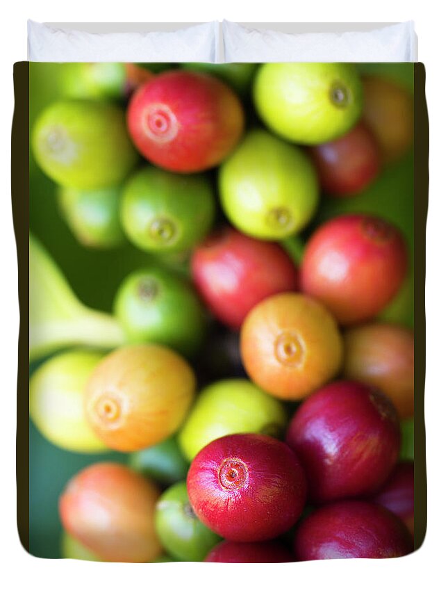Outdoors Duvet Cover featuring the photograph Ripe Coffee Cherries #2 by Dustypixel