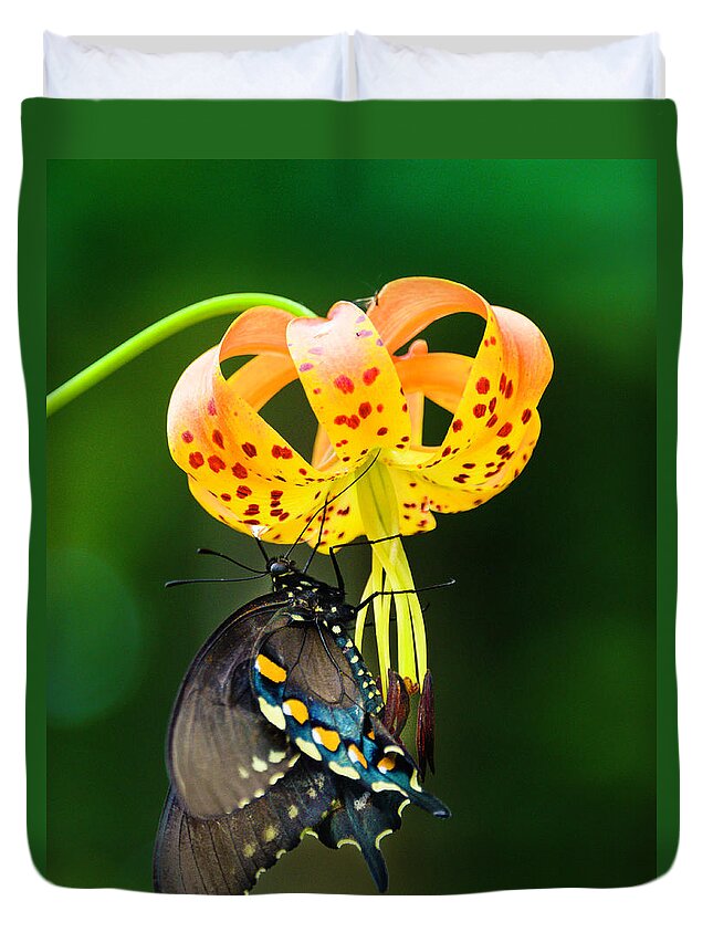 Africa Duvet Cover featuring the photograph Swallowtail On Turks Cap #2 by Donald Brown