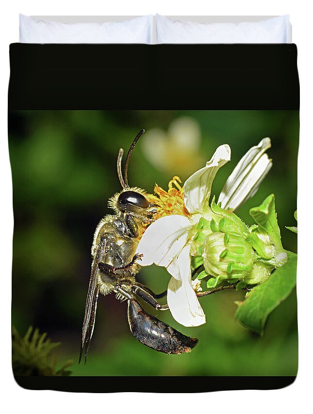 Photograph Duvet Cover featuring the photograph Wasp #2 by Larah McElroy