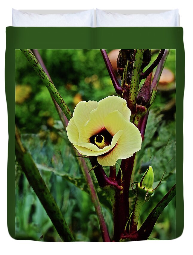 Hibiscus Duvet Cover featuring the photograph 2019 August at the Gardens Hibiscus in the Herb Garden by Janis Senungetuk