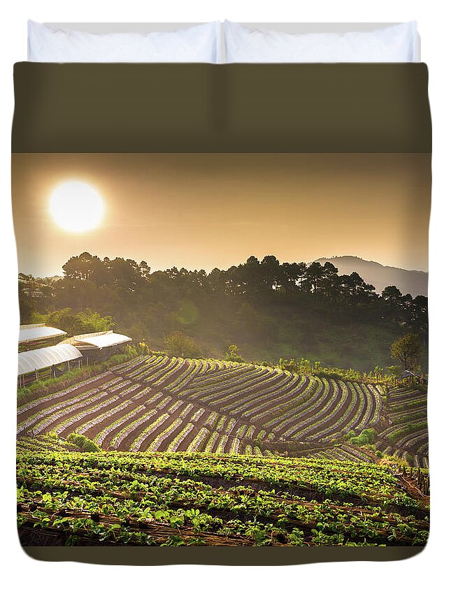 Scenics Duvet Cover featuring the photograph Beautiful Sunshine At Misty Morning #3 by Primeimages
